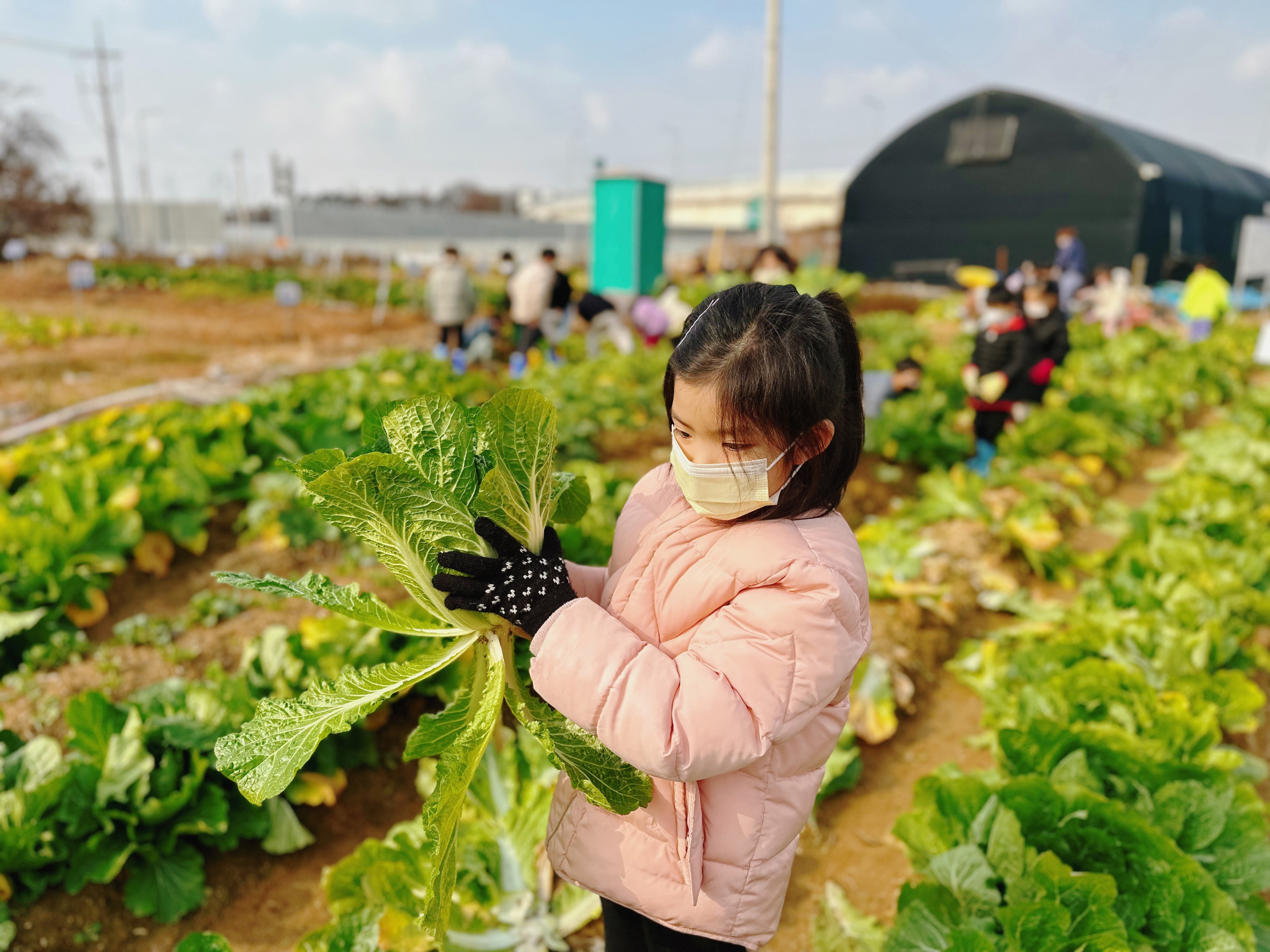 송촌농장 이미지